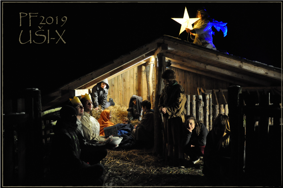 PF2019